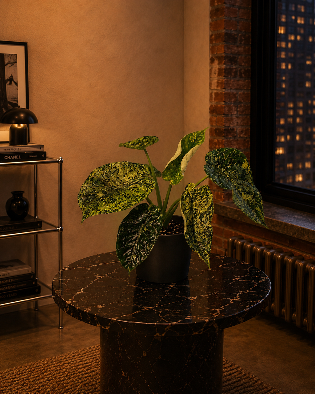 'Dragon Scale Mint'- Alocasia