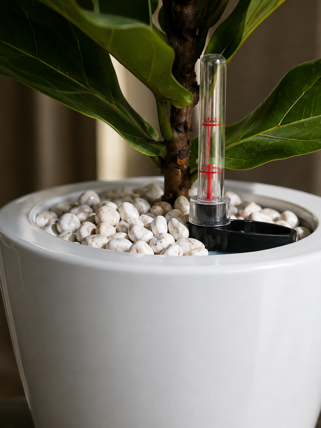 Blanco Self-Watering Planter (Set of 2)