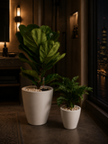 Blanco Self-Watering Planter (Set of 2)